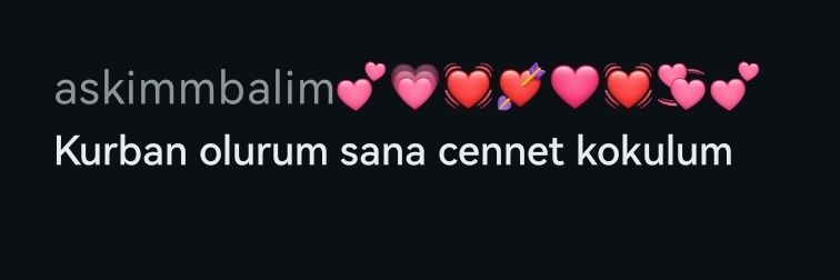 eylülꕤ banner