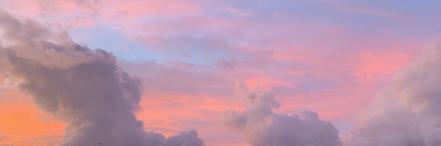 taniacamarilo's profile banner image