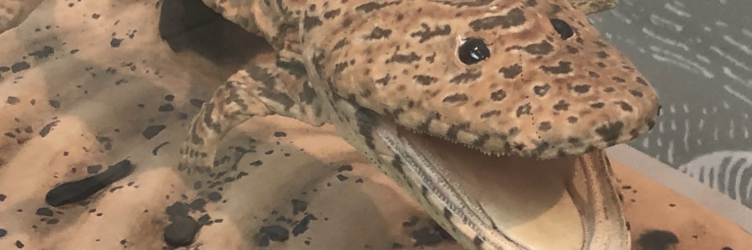 bathofholly's profile banner image