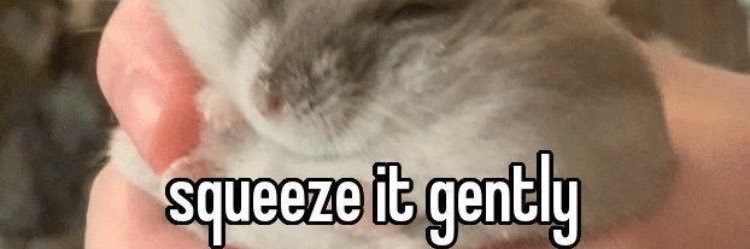 DueanYixBCU's profile banner image