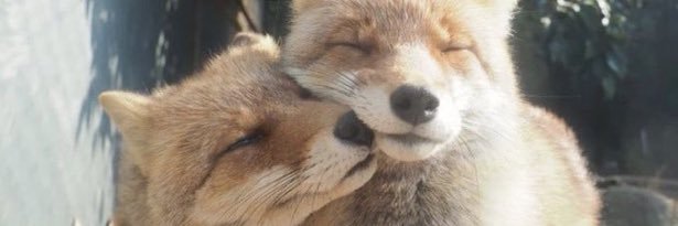 Lee Myung-gi☆ banner