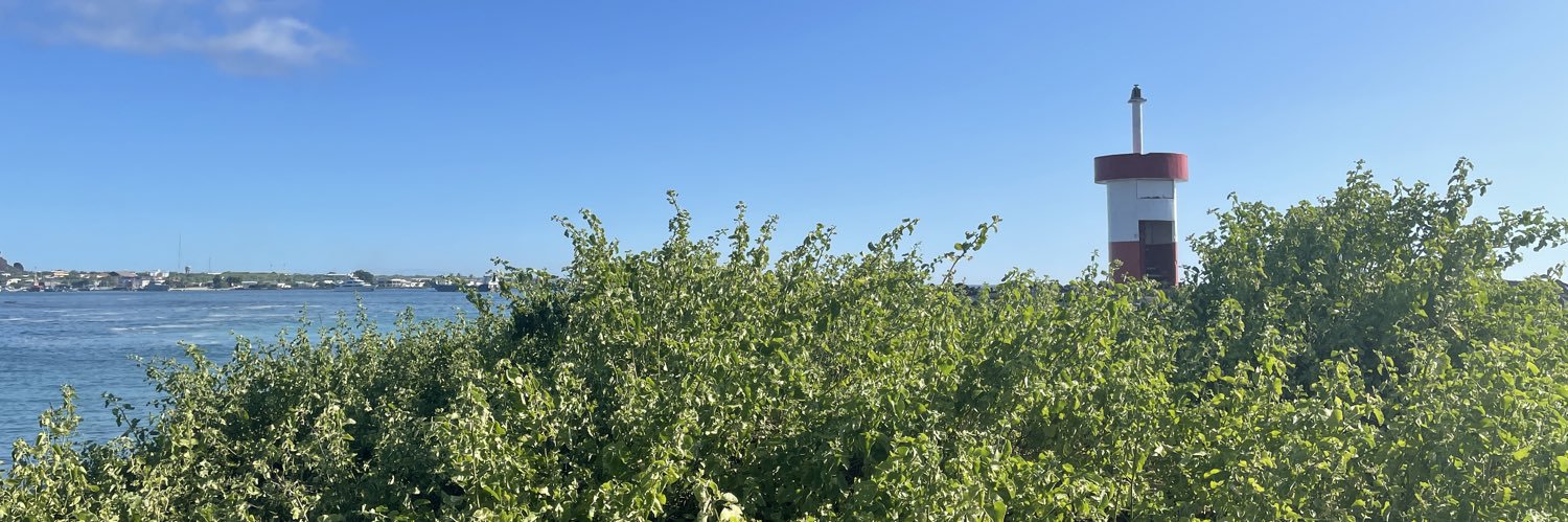 S o f f i e s t a ☺️🧜🏼‍♀️🌸🦊 banner