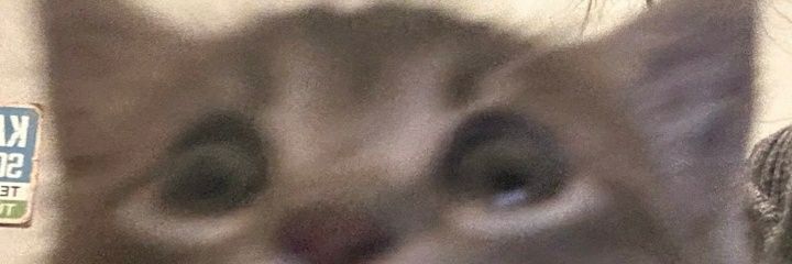 irem banner