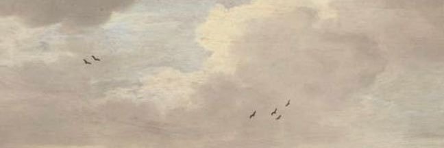 o banner