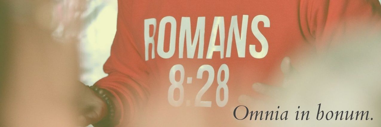 vicxenderamos's profile banner image