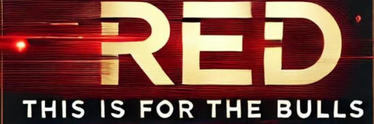 This Is For The Bulls banner