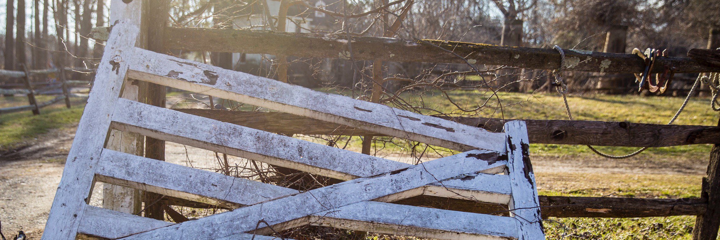 manjoeknee's profile banner image