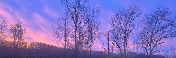 CurvyJl Profile Banner