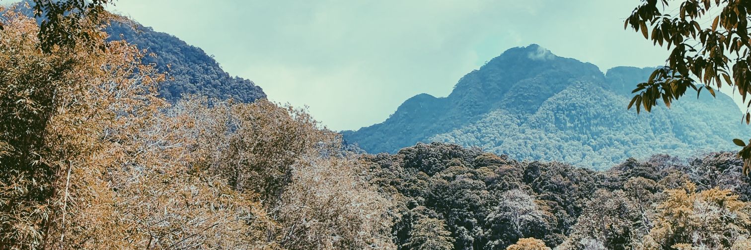 CheauMei's profile banner image