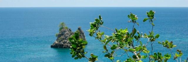 Jesse Gerstin banner