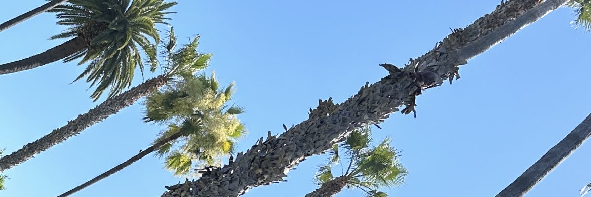 PersonalzCali banner
