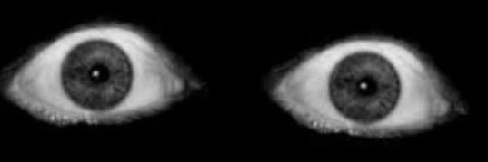 matt ˢᶜᶜᵖ banner