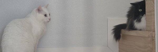 nyangteolm96233 Profile Banner