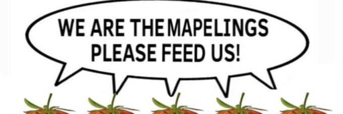 deviii 🚦🍓 banner