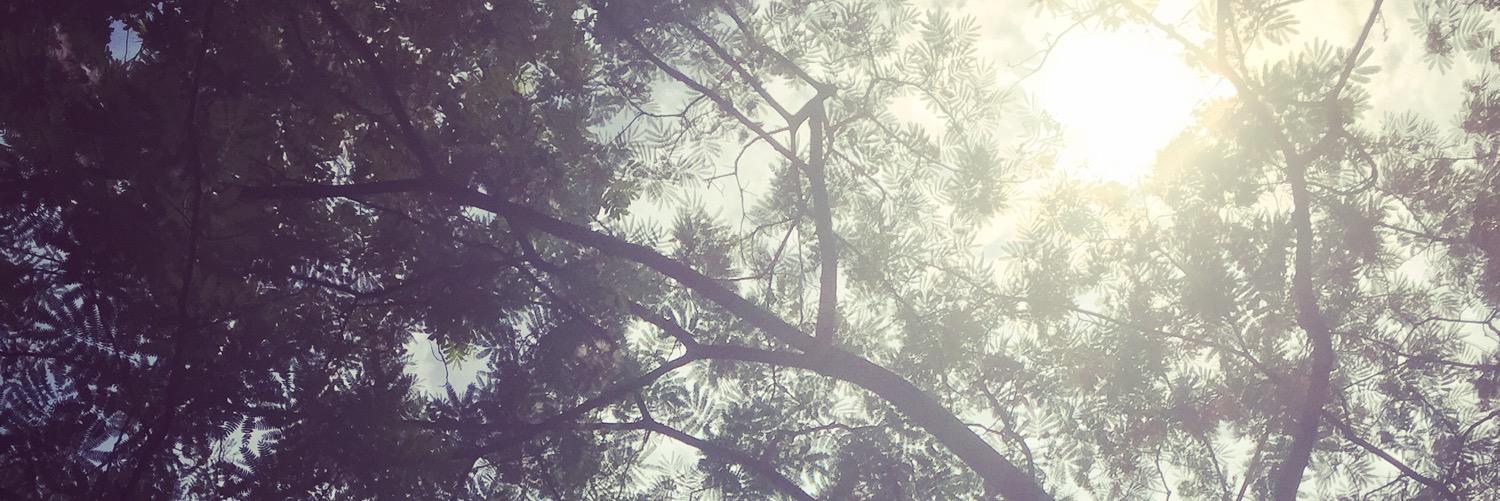 andezhuu's profile banner image