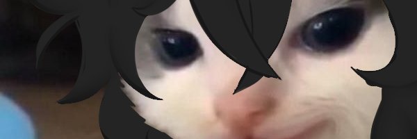 ChisaiDragon's profile banner image