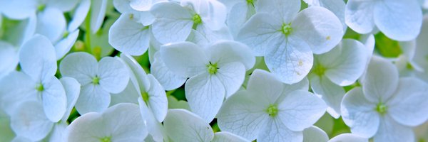 plaid_373 Profile Banner