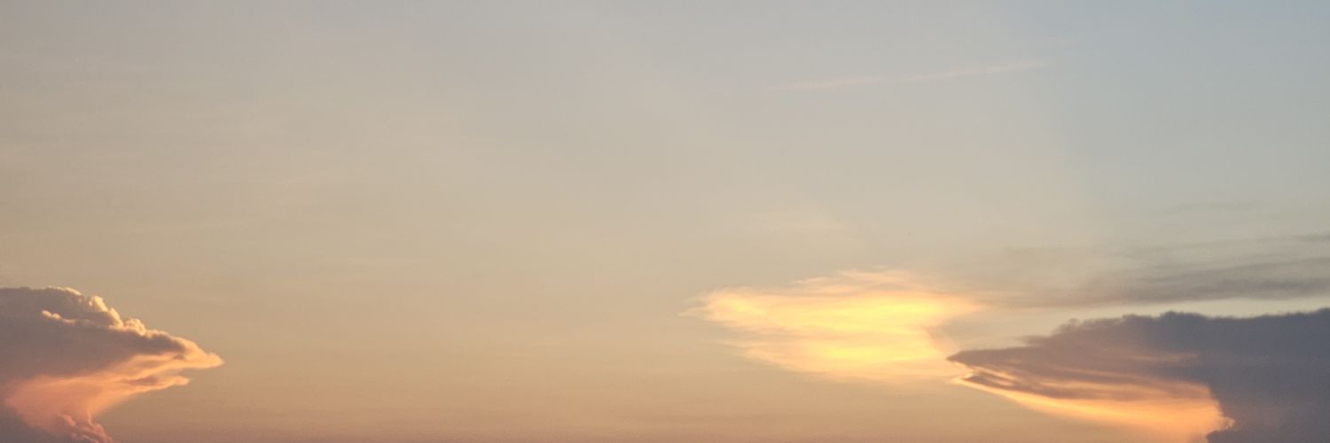 liooralio's profile banner image