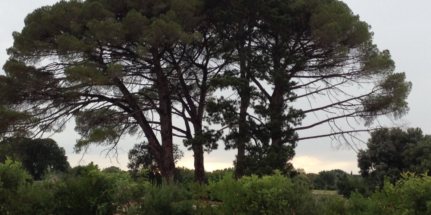 Lydia Meijerink banner