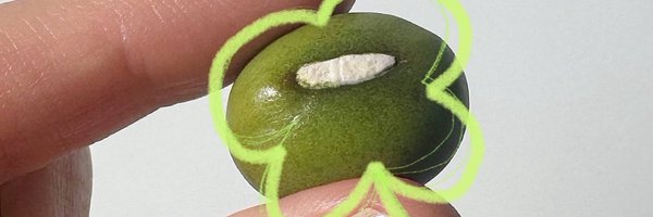 beplain_KOREA Profile Banner