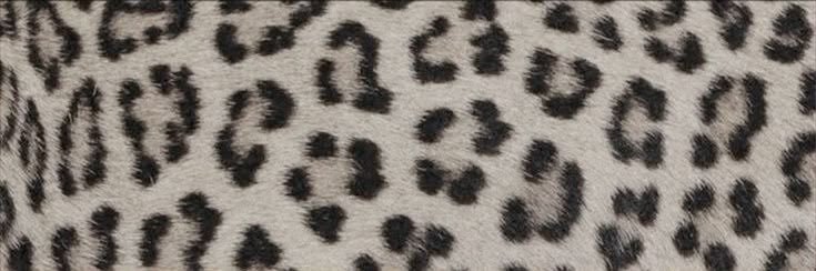 anya ｡ ﾟ☁︎｡ ⋆｡ | поиск мью banner