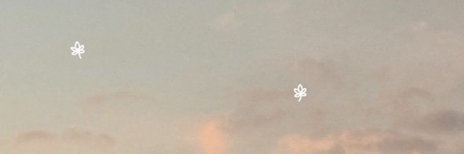 qallpq's profile banner image