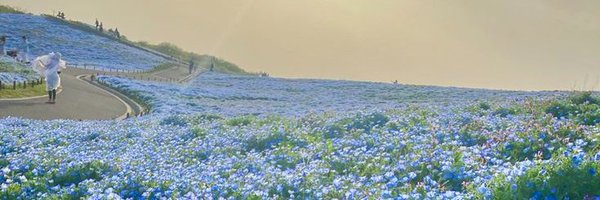 zerostarl1ght Profile Banner