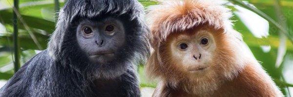 exitwoond Profile Banner