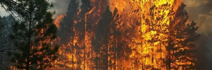 Chief_FFD's profile banner image