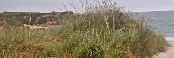 decaba_ Profile Banner