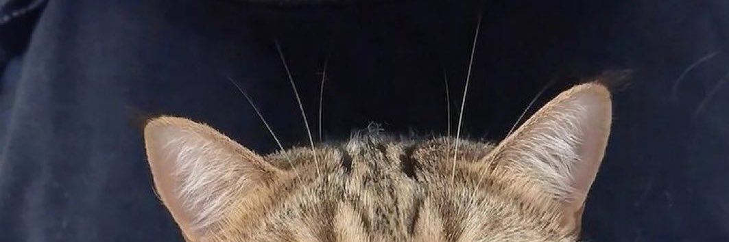 pagimch_i's profile banner image