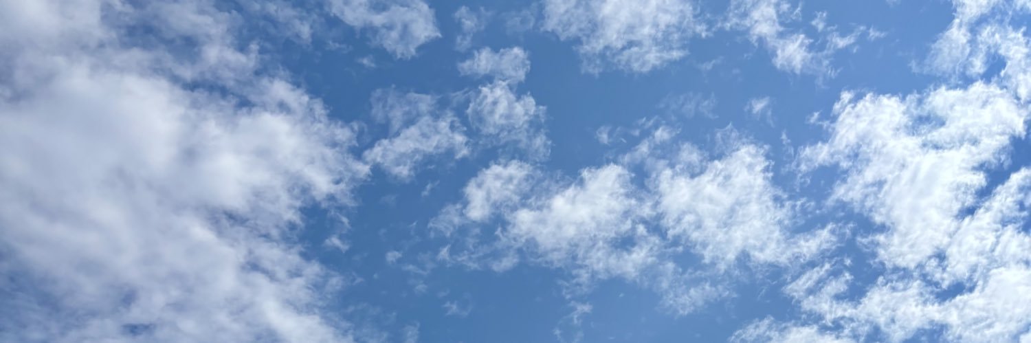 新卒OLちゃん banner