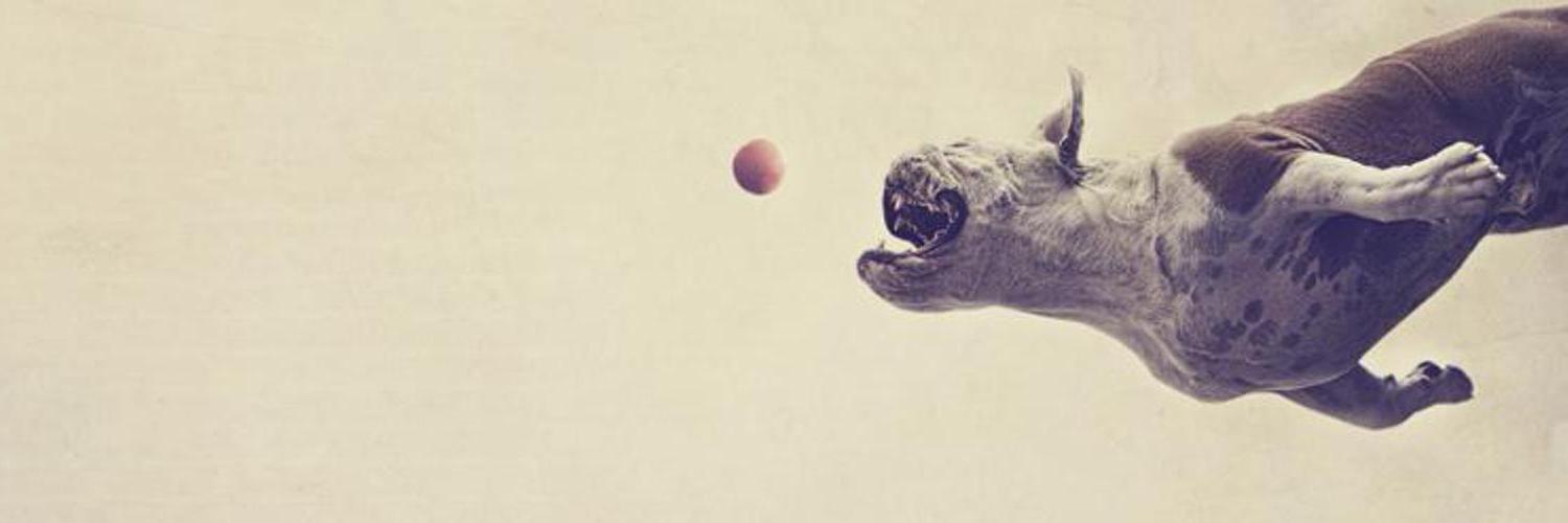 willg's profile banner image