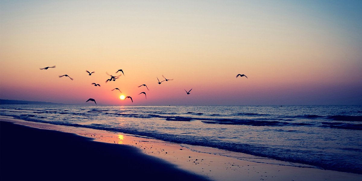 Jeremy Ferris banner