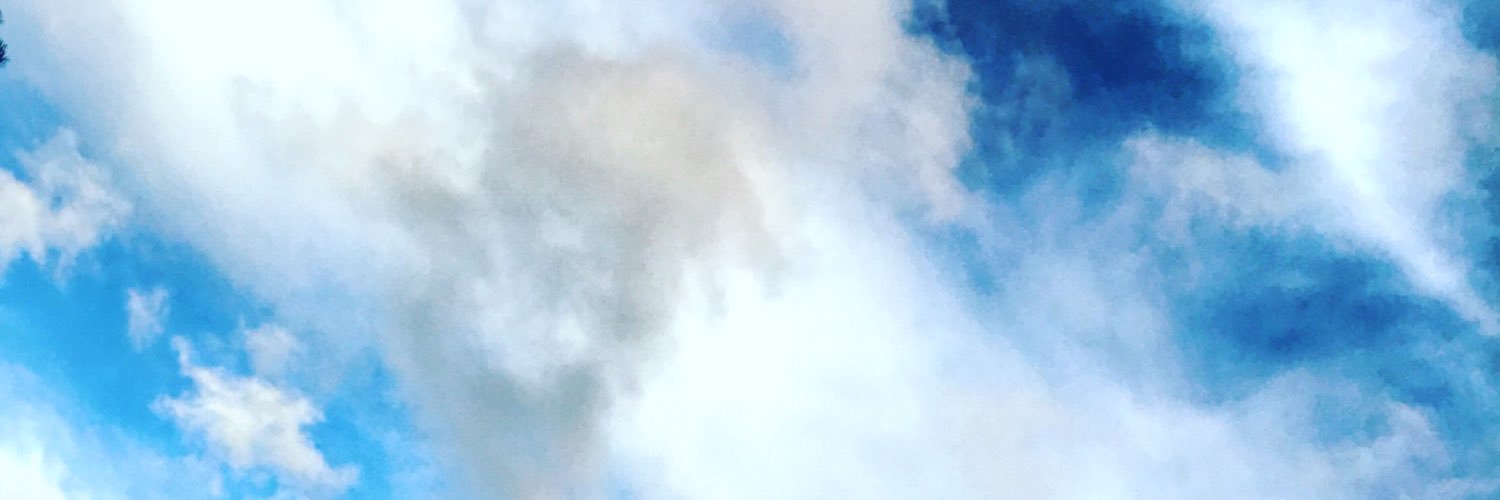 KosarevaLaura's profile banner image