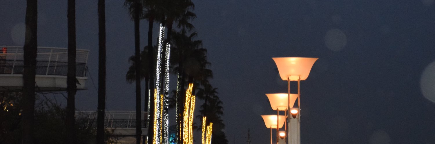 さばんナ📸 banner