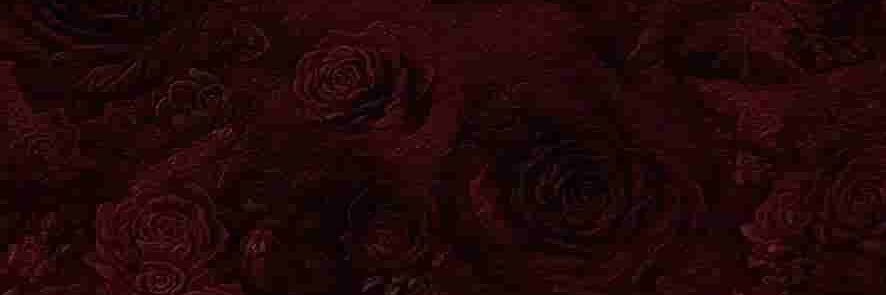 𝔫 𝔯 𝔞 banner