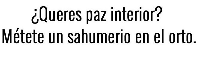 NO FUÍ YO LOCO 🤌 banner