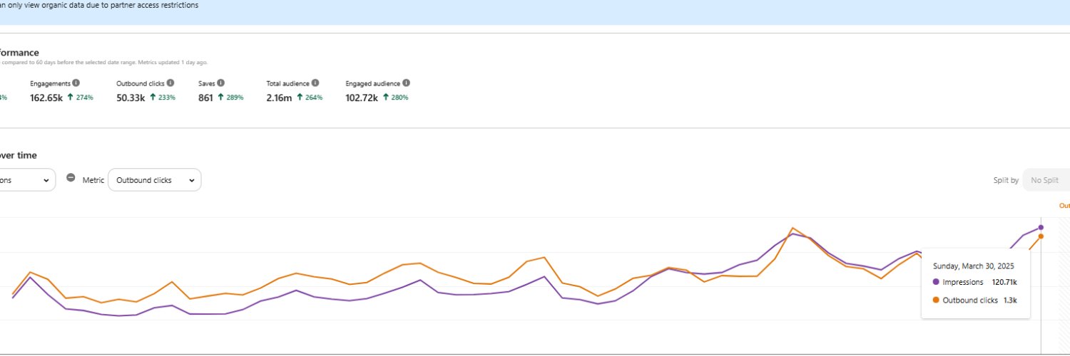 Anku (Pinterest Niche Blogger) banner