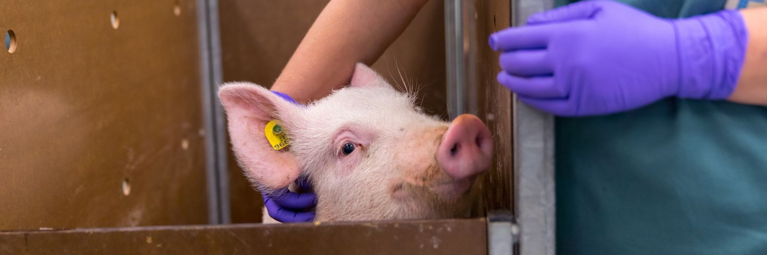 Proefdiervrij banner