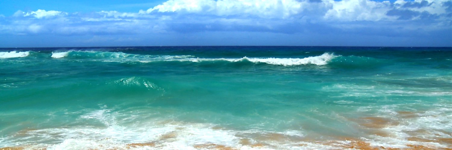 elizabethvice12's profile banner image