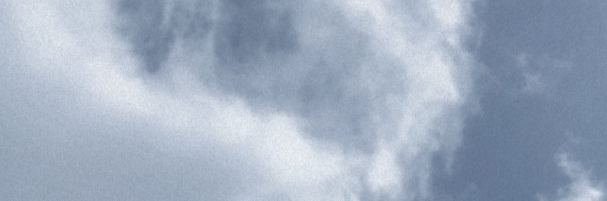 AvivaRice's profile banner image