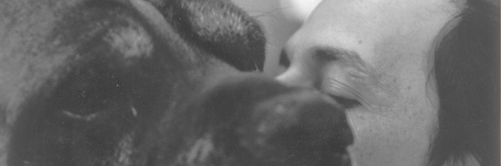 Leon🇺🇦🌻 banner