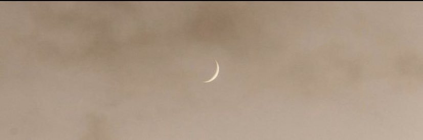 noeeemi19's profile banner image