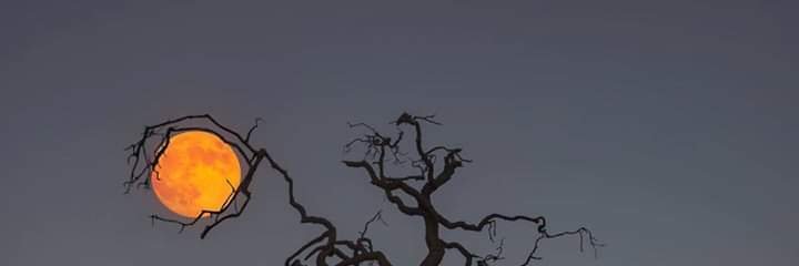 JesusHidalgoEst's profile banner image