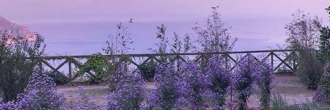 beauteousray's profile banner image