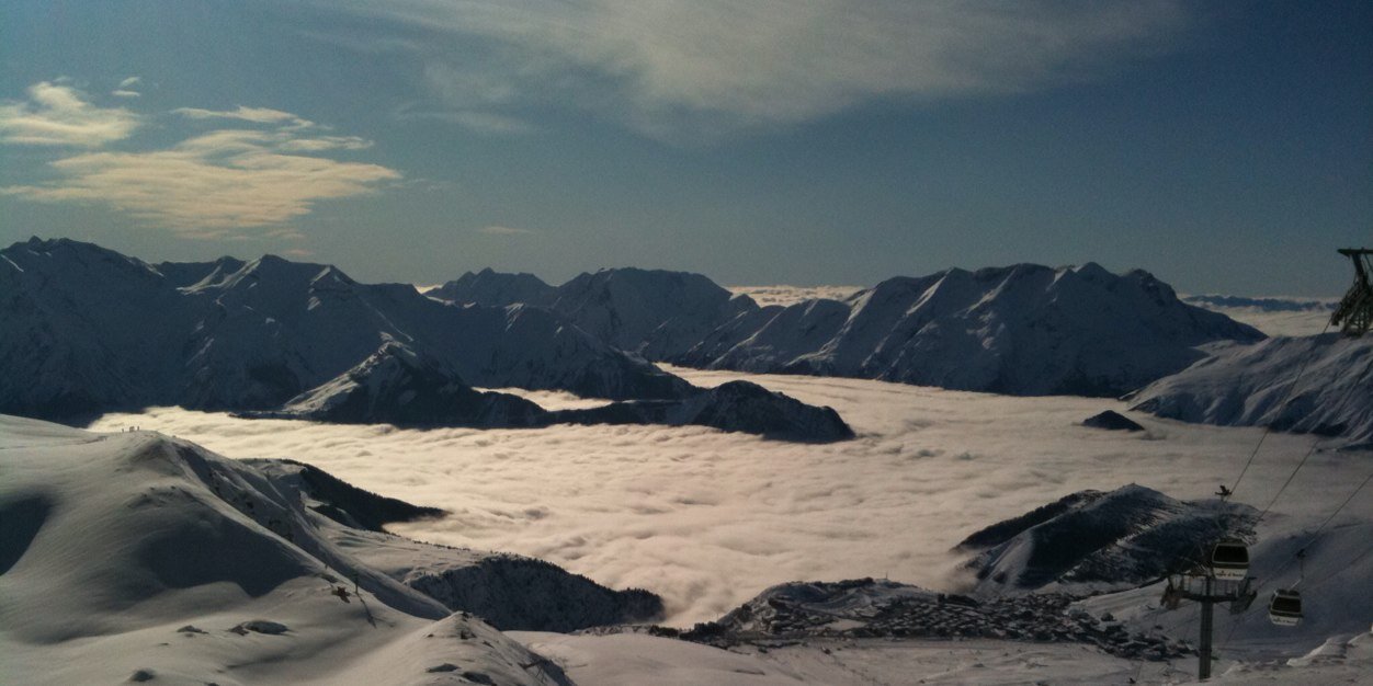 Steven Foster banner