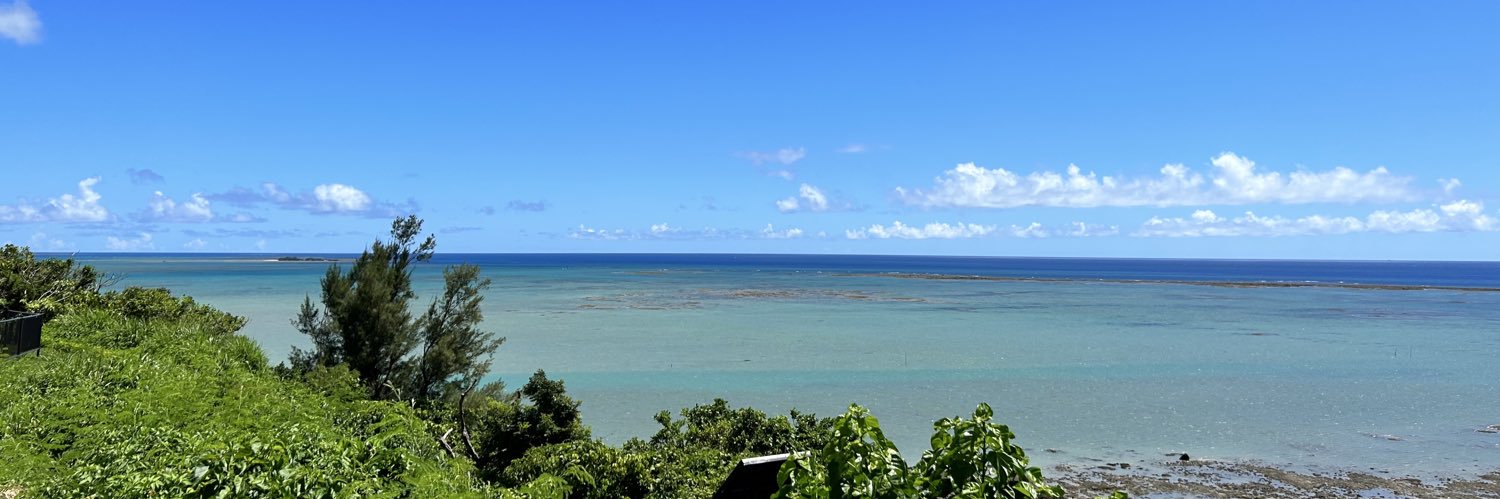 R i N α🎲🦥 banner