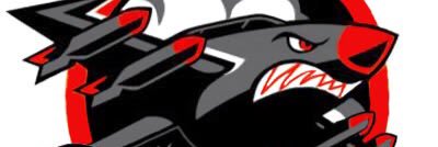 RaymentShane's profile banner image