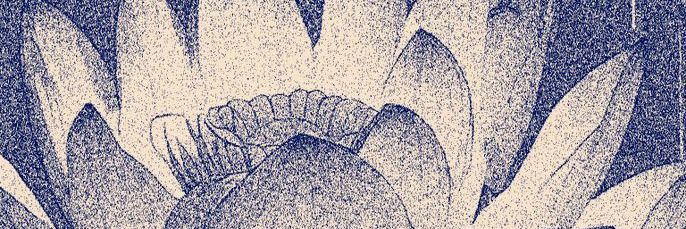 Jeo banner